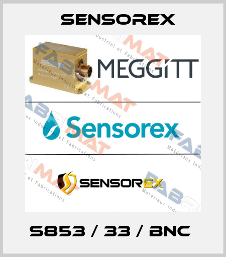 S853 / 33 / BNC  Sensorex