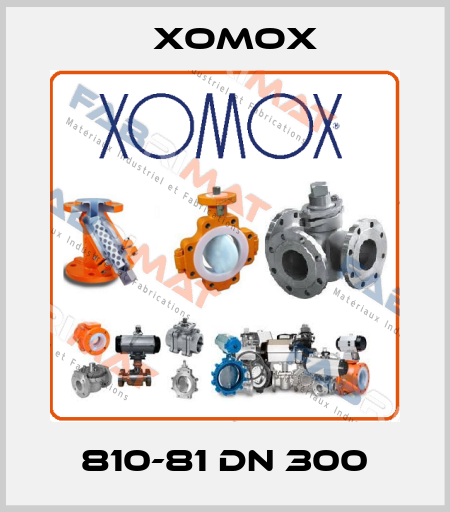 810-81 Dn 300 Xomox