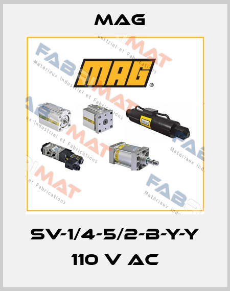 SV-1/4-5/2-B-Y-Y 110 V AC Mag