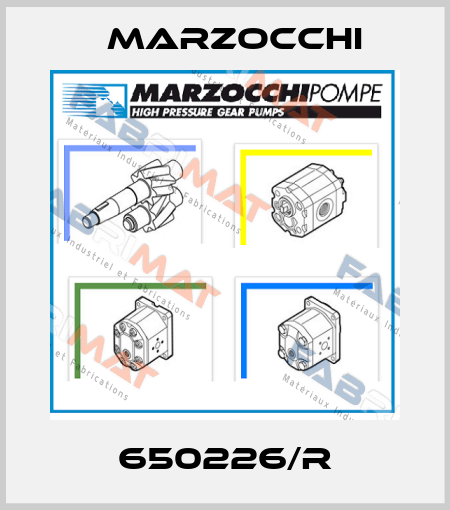 650226/R Marzocchi
