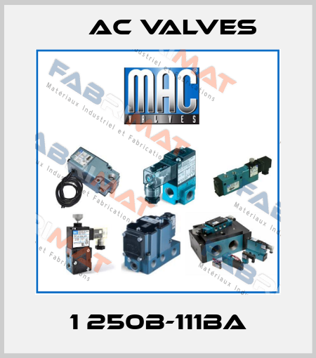 1 250B-111BA МAC Valves