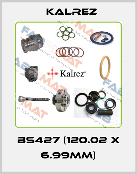 BS427 (120.02 x 6.99mm) KALREZ
