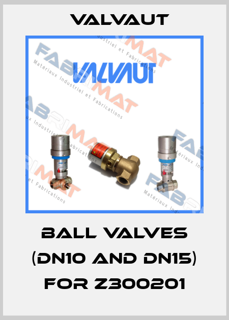 ball valves (DN10 and DN15) for Z300201 Valvaut