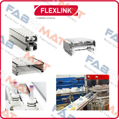 XLBV 5A65R300 FlexLink