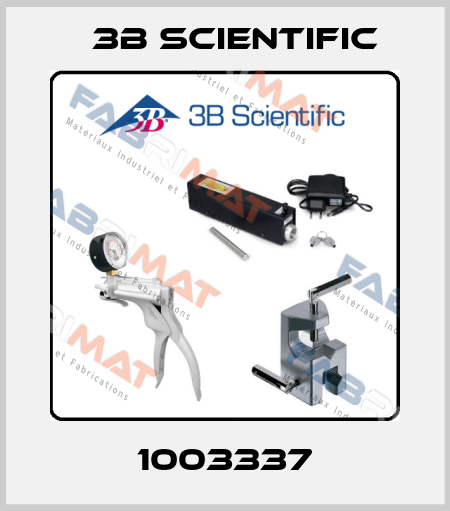 1003337 3B Scientific