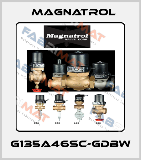 G135A46SC-GDBW Magnatrol