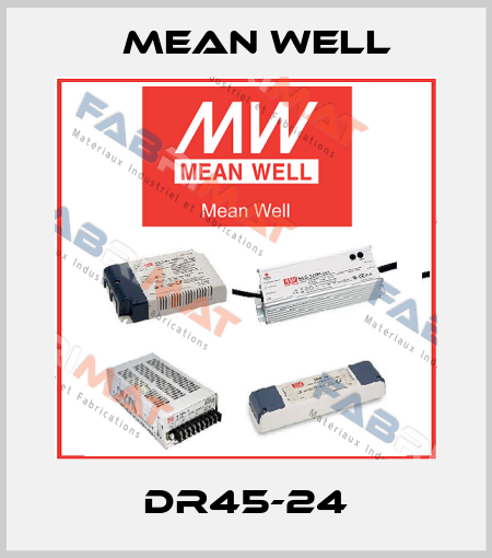 DR45-24 Mean Well