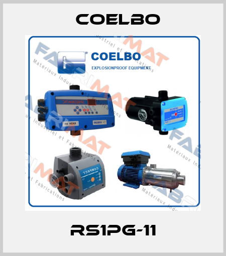 RS1PG-11 COELBO