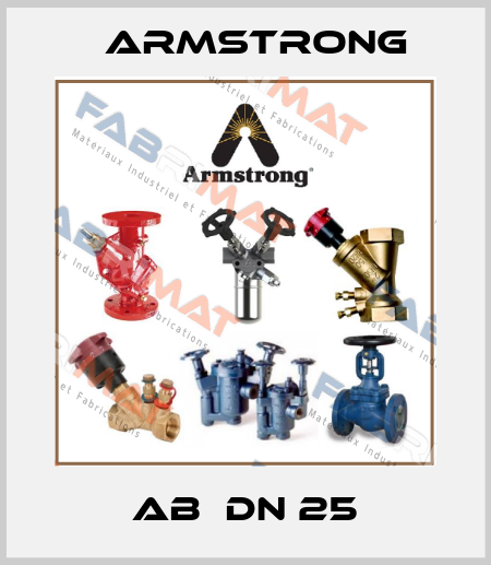 AB  DN 25 Armstrong