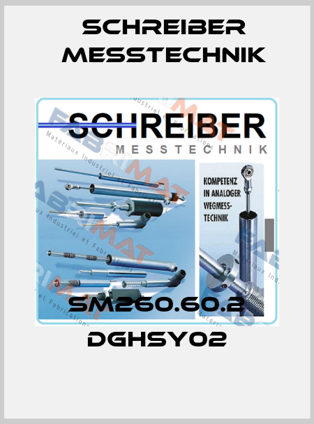 SM260.60.2 DGHSY02 Schreiber Messtechnik