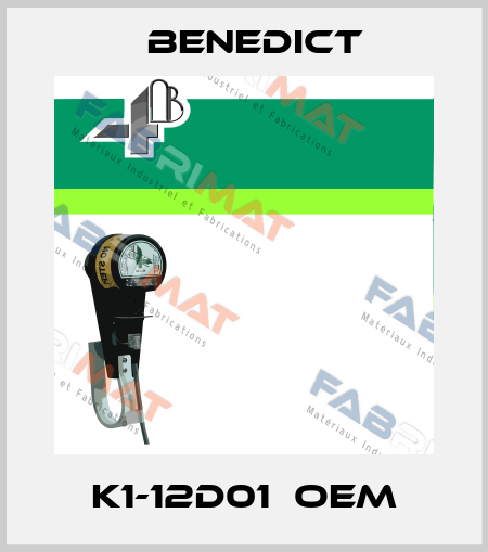 K1-12D01  OEM Benedict