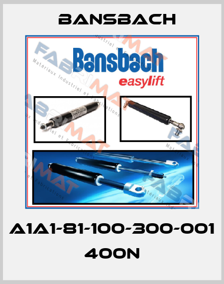 A1A1-81-100-300-001 400N Bansbach