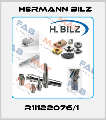 R1I122076/1  Hermann Bilz