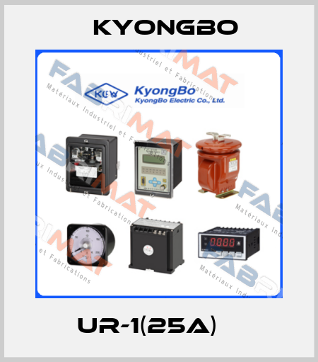 UR-1(25A)    Kyongbo