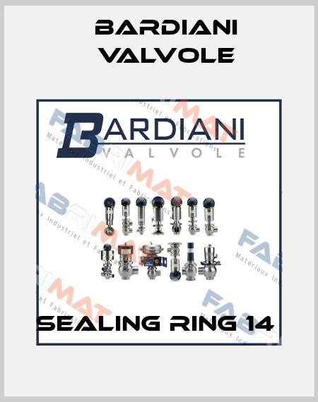 SEALING RING 14  Bardiani Valvole
