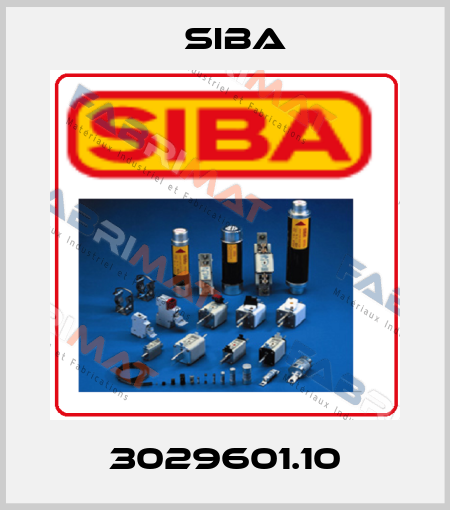 3029601.10 Siba