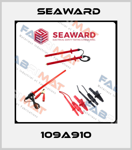 109A910 Seaward