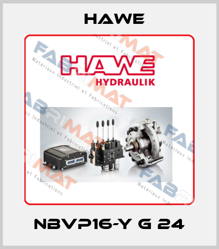 NBVP16-Y G 24 Hawe