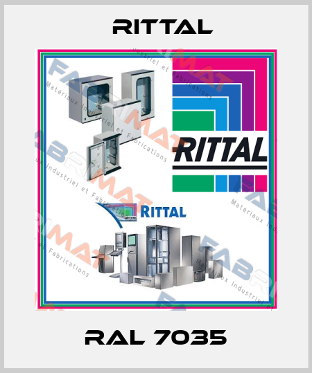 RAL 7035 Rittal
