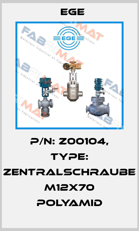 p/n: Z00104, Type: Zentralschraube M12x70 Polyamid Ege