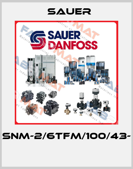 SNM-2/6TFM/100/43-  Sauer