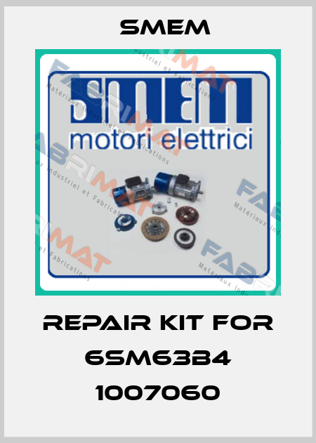 repair kit for 6SM63B4 1007060 Smem