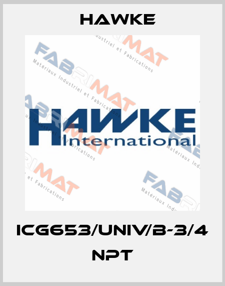 ICG653/UNIV/B-3/4 NPT Hawke