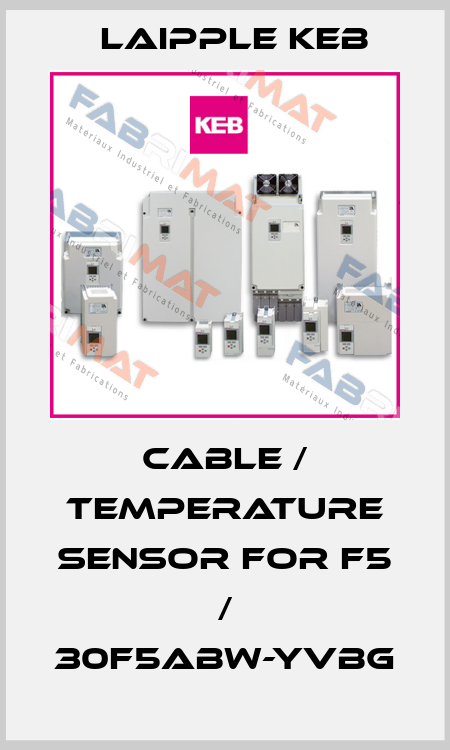 cable / temperature sensor for F5 / 30F5ABW-YVBG LAIPPLE KEB