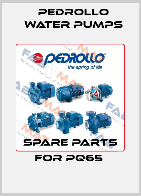 SPARE PARTS FOR PQ65  Pedrollo Water Pumps