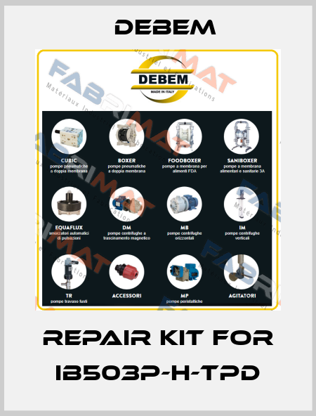 repair kit for IB503P-H-TPD Debem