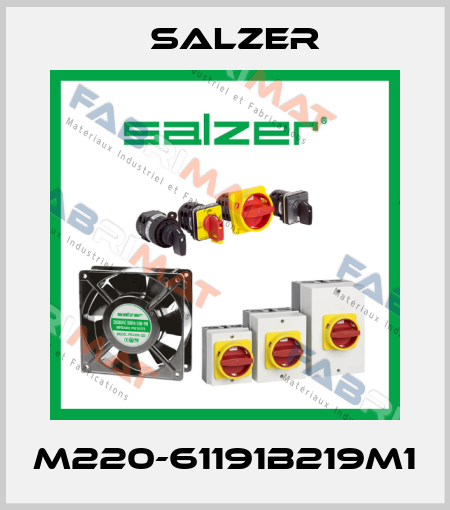 M220-61191B219M1 Salzer