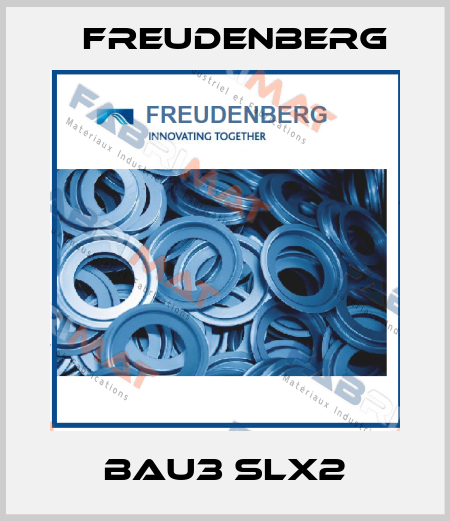 BAU3 SLX2 Freudenberg