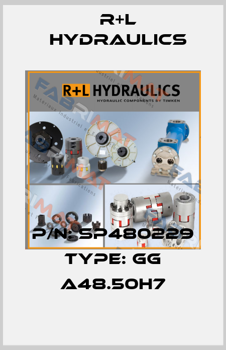 P/N: SP480229 Type: GG A48.50H7 R+L HYDRAULICS