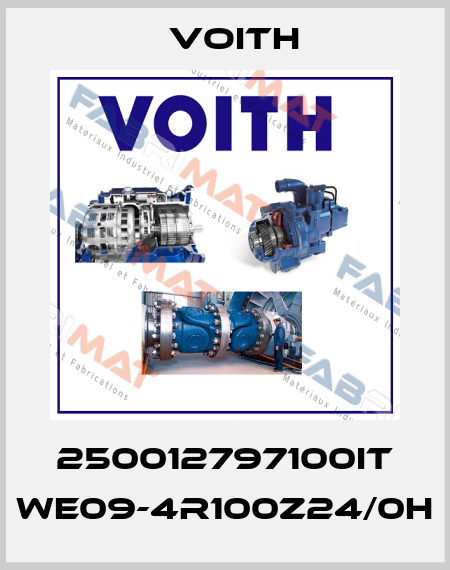 250012797100IT WE09-4R100Z24/0H Voith