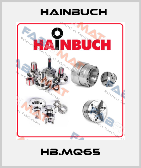 HB.MQ65 Hainbuch