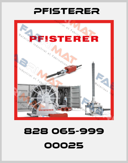 828 065-999 00025 Pfisterer