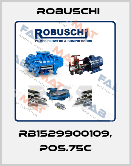 RB1529900109, Pos.75C Robuschi