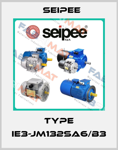 Type IE3-JM132Sa6/B3 SEIPEE