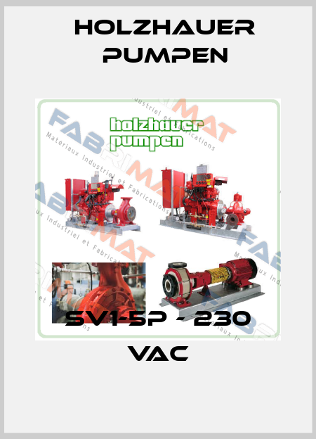 SV1-5P - 230 VAC Holzhauer Pumpen
