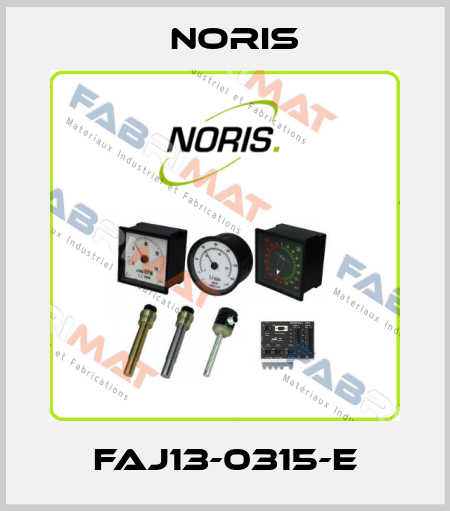 FAJ13-0315-E Noris