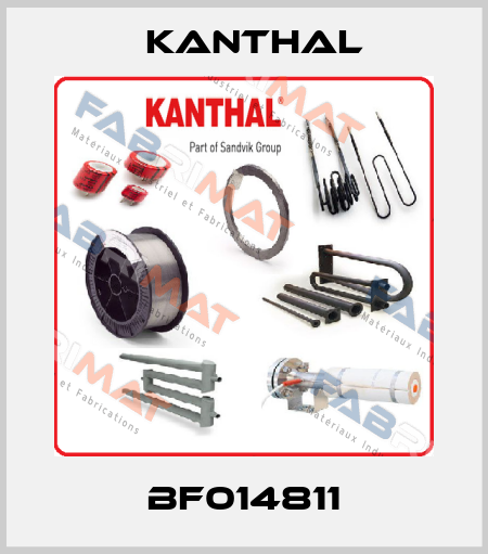 BF014811 Kanthal
