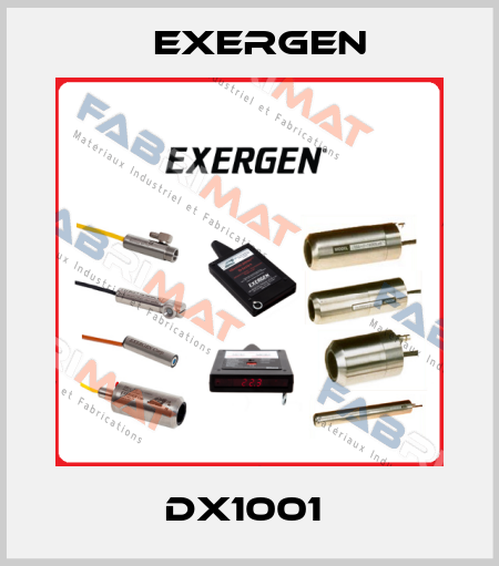 DX1001  Exergen
