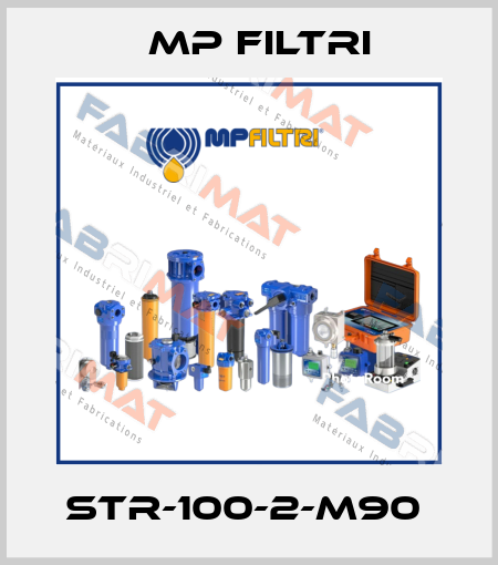 STR-100-2-M90  MP Filtri