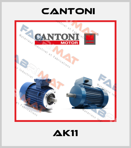 AK11 Cantoni