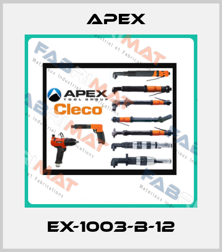 EX-1003-B-12 Apex