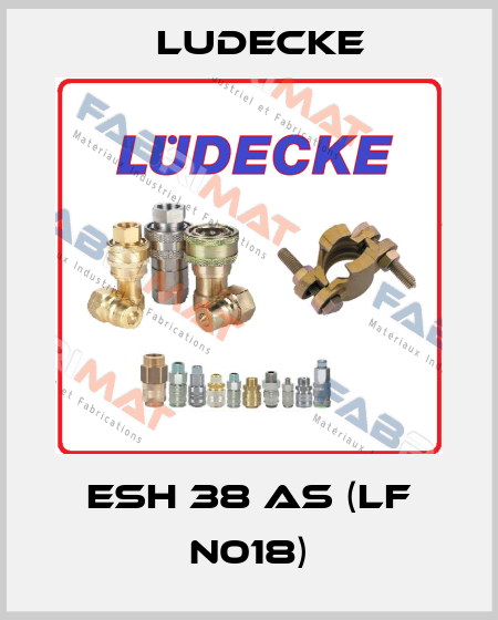ESH 38 AS (LF N018) Ludecke