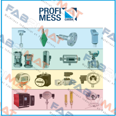 Type: FS-01EX.1.1 Profimess