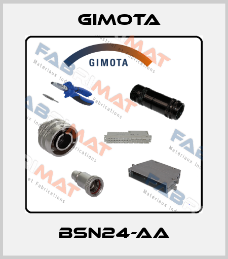 BSN24-AA GIMOTA