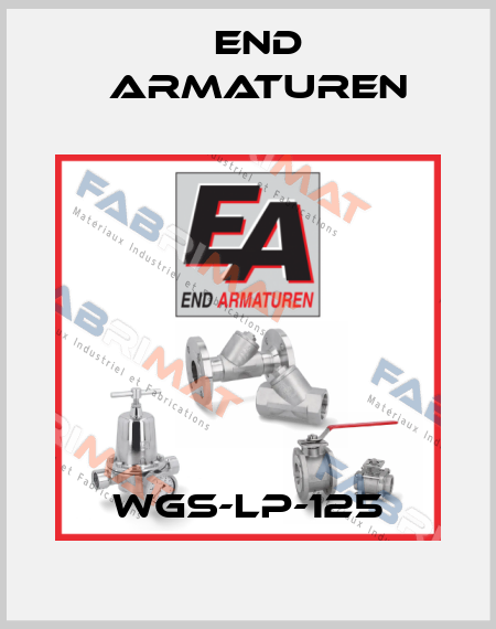 WGS-LP-125 End Armaturen
