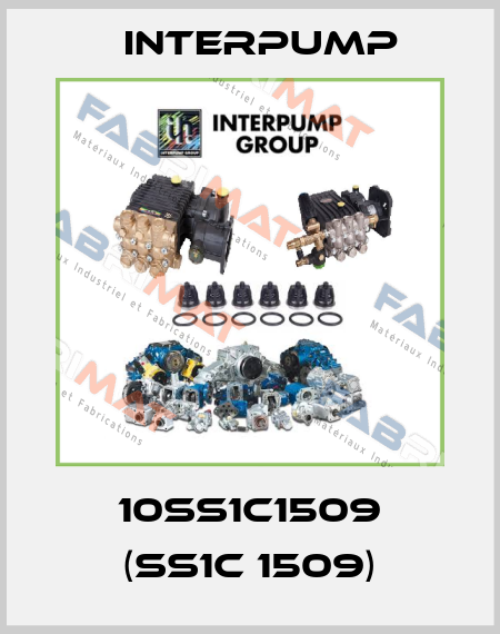 10SS1C1509 (SS1C 1509) Interpump